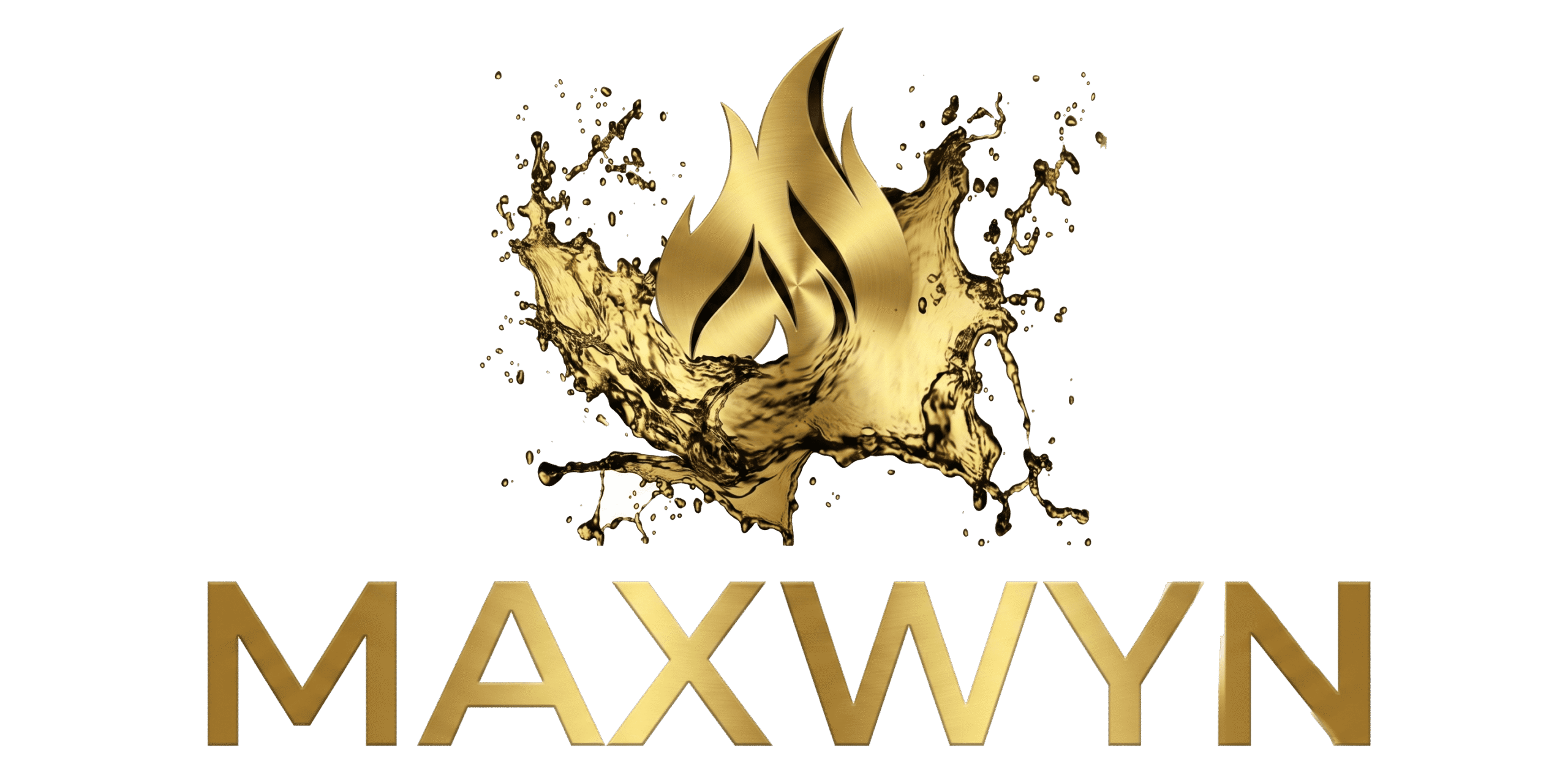 maxwyn Logo